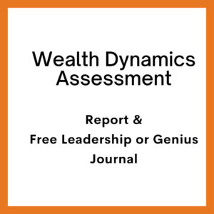 wealth dynamics assessment