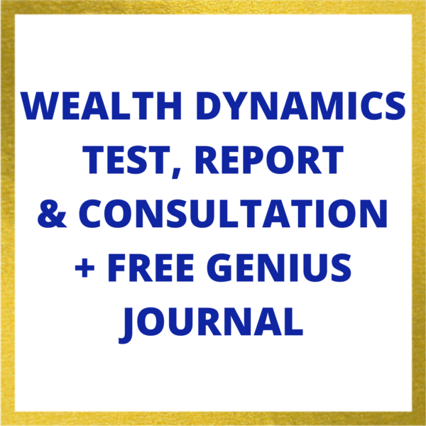 wealth Dynamice Test and consultation package
